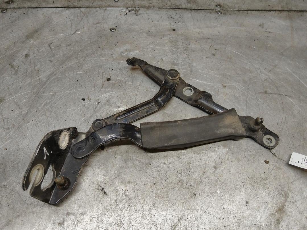 Петля крышки багажника P418IA Volkswagen Passat купить с доставкой