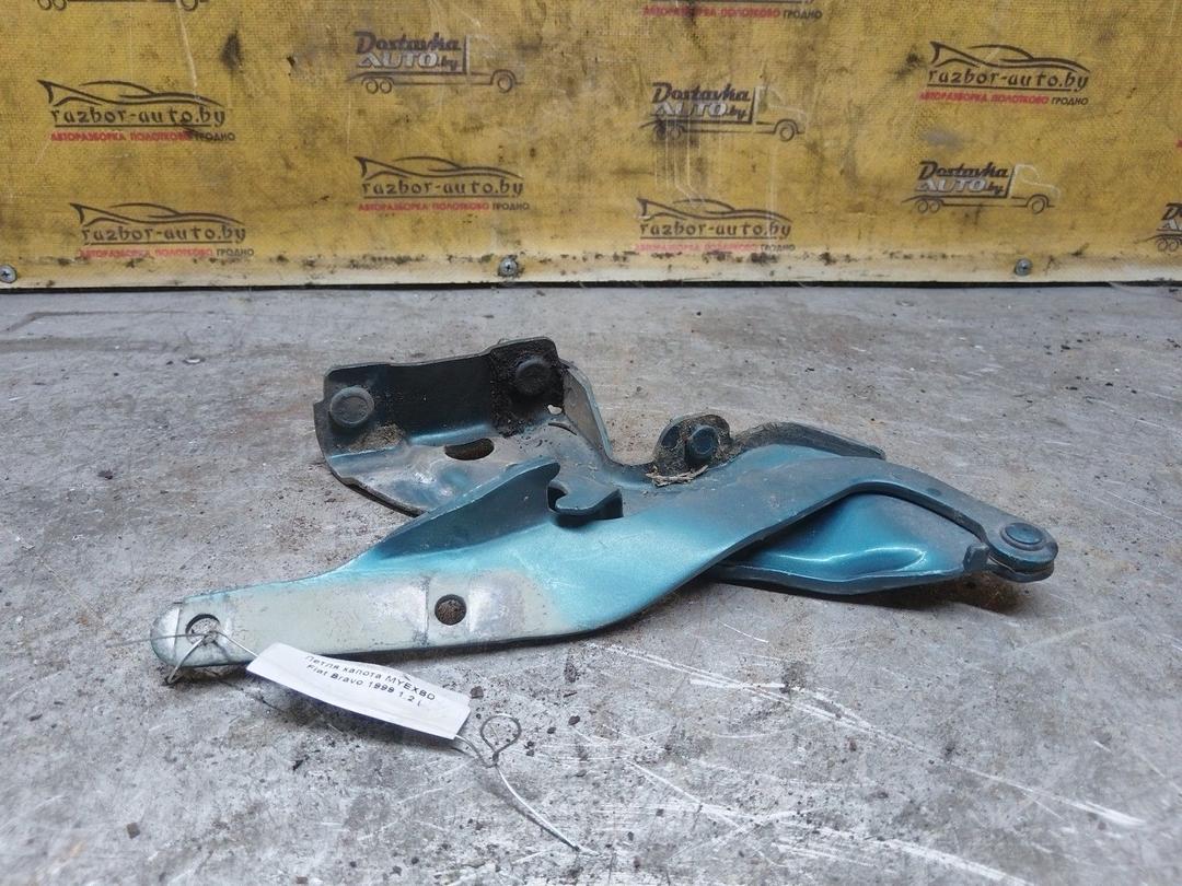 Петля капота MYEXBD Fiat Bravo купить