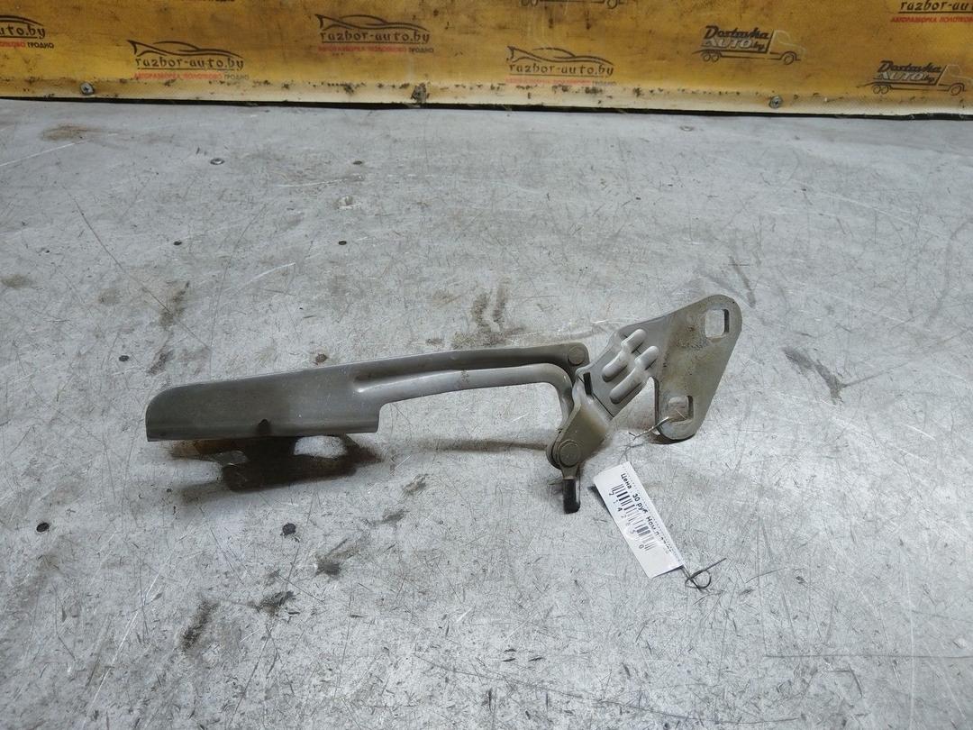 Петля капота правая YBMCB6 Citroen Xsara Picasso