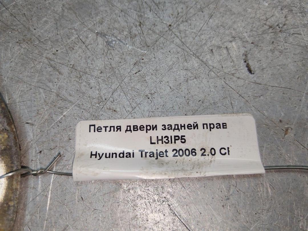 Петля двери задней правой LH3IP5 Hyundai Trajet