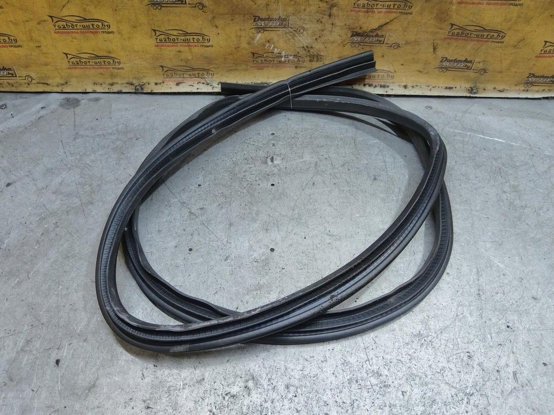 Уплотнитель двери задней левой L3ORRL Ford Focus - Фото 3