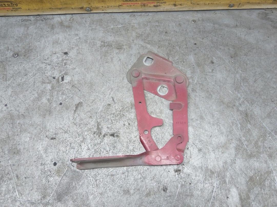 Петля капота левая SW3SO6 Peugeot 406 купить с доставкой