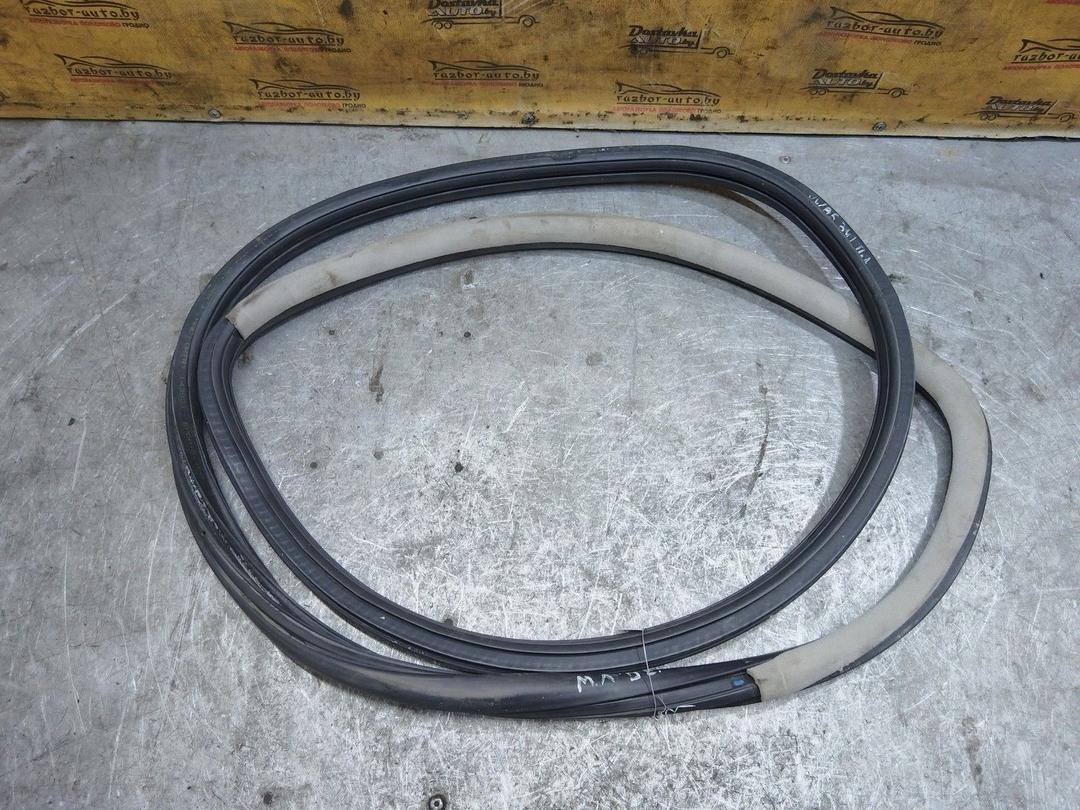 Уплотнитель двери задней правой 9C48T7 Volkswagen Passat купить с доставкой