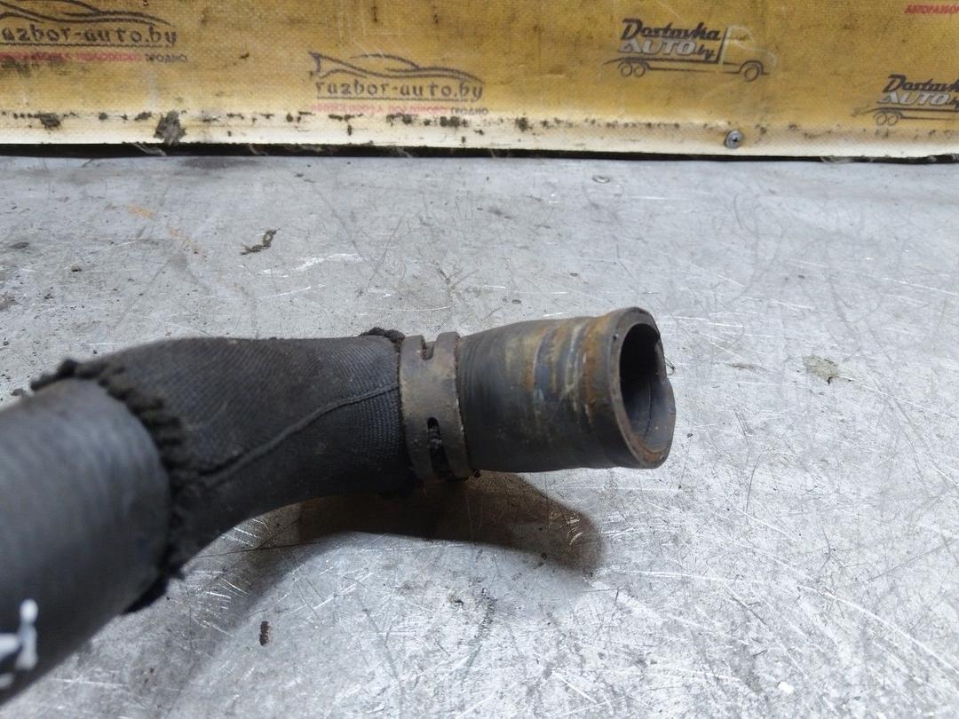 Патрубок радиатора WD5YIA Renault Laguna купить на авторазборке