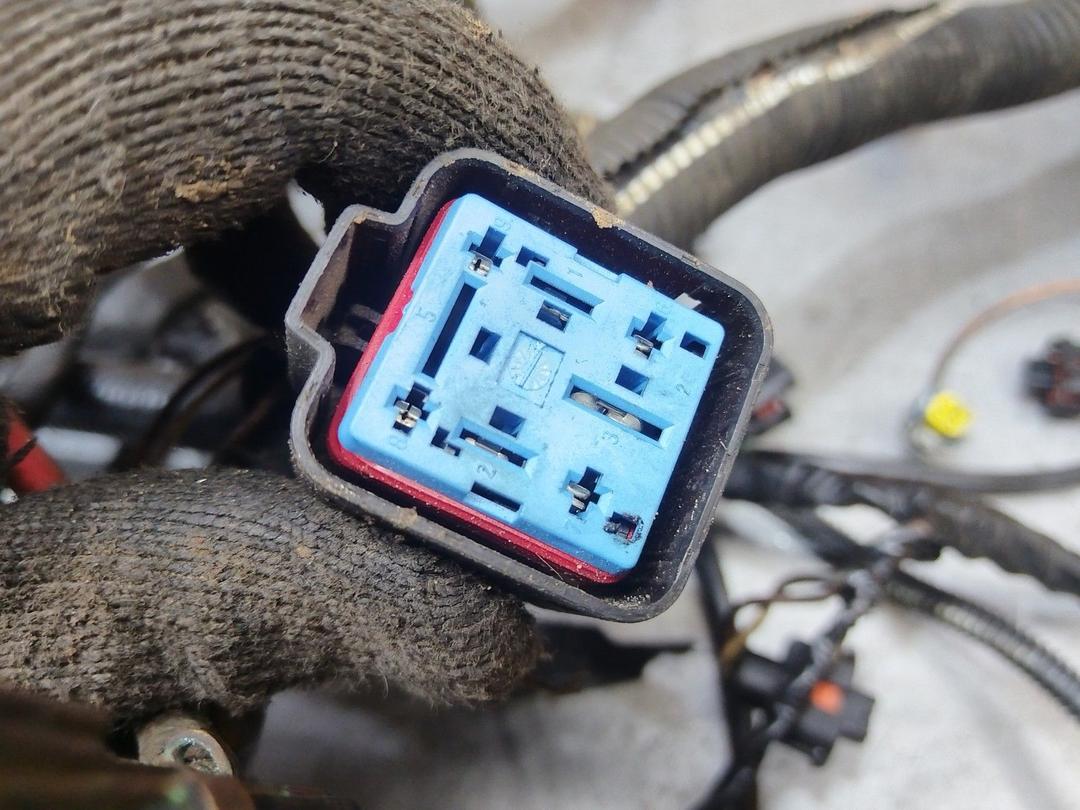 Проводка двигателя BGO85X Renault Scenic RX4 undefined