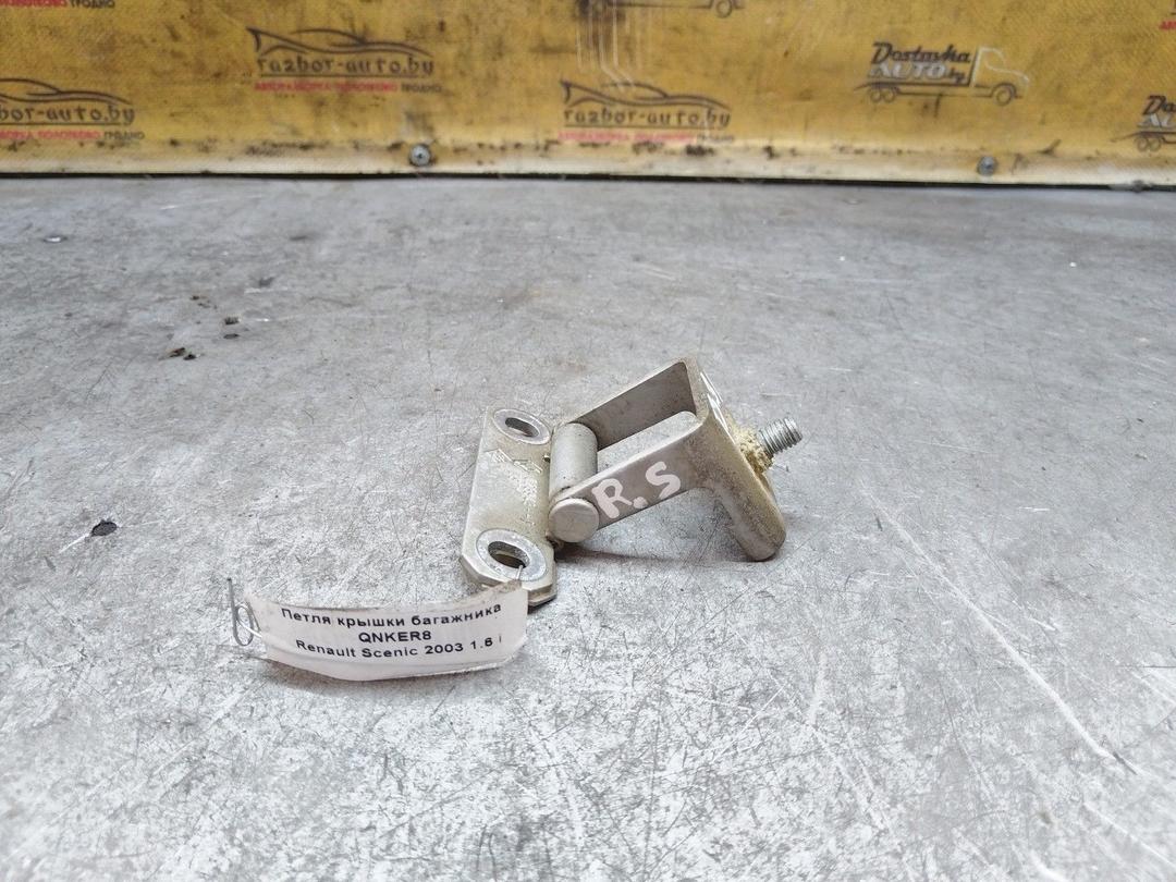 Петля крышки багажника QNKER8 Renault Scenic