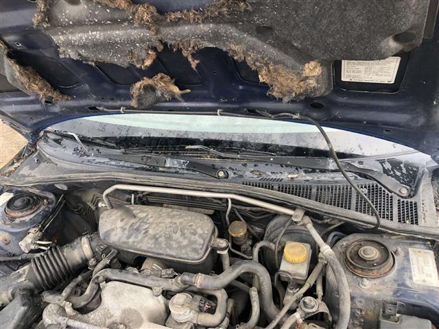 Корпус воздушного фильтра 72F1AD