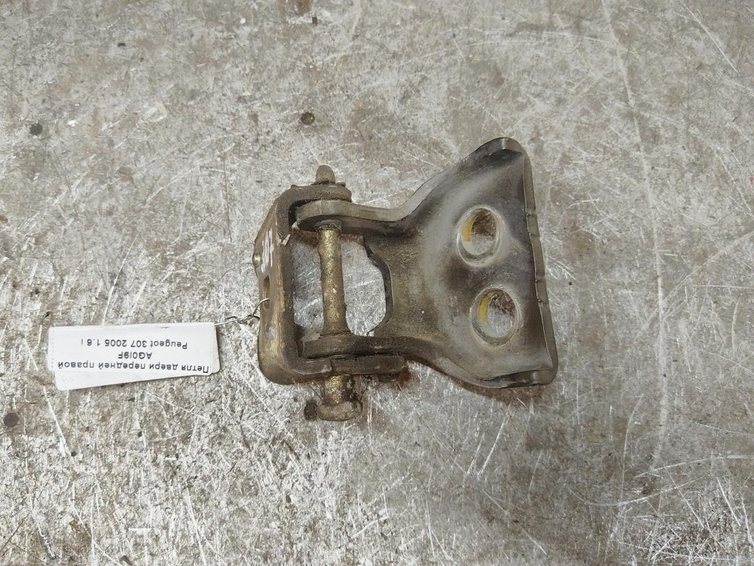 Петля двери передней правой AG0I9F Peugeot 307 купить на авторазборке