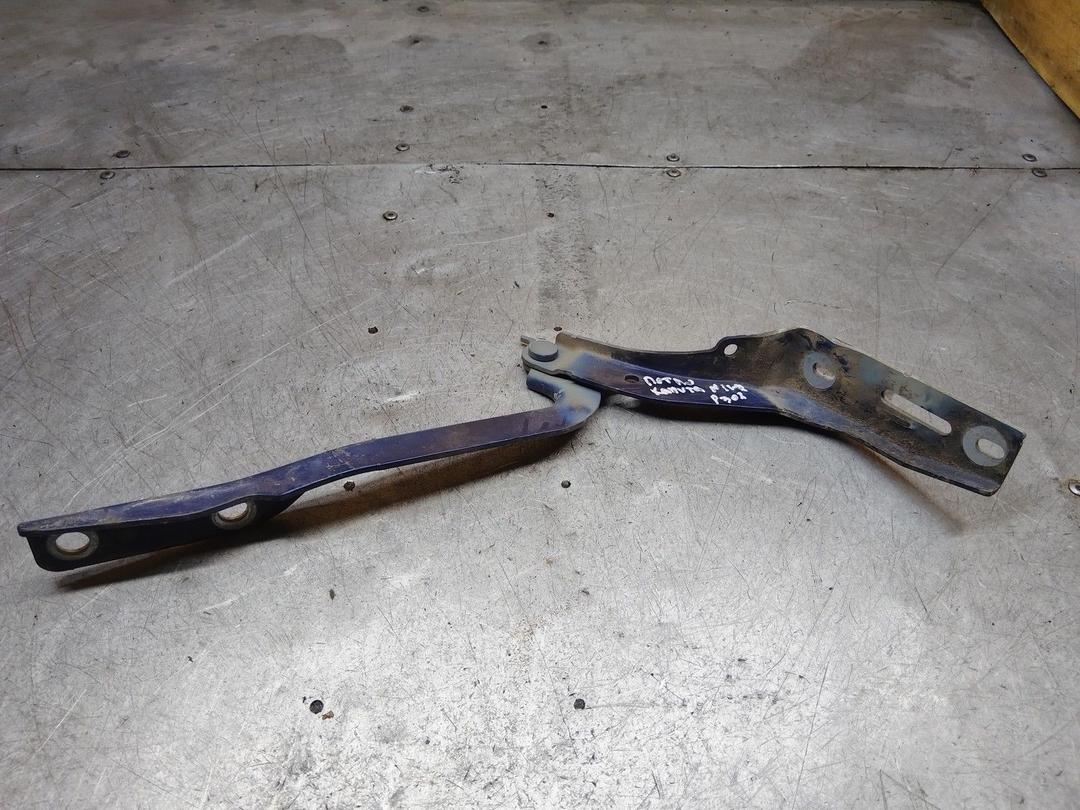 Петля капота N1TY7C Peugeot 307 купить с доставкой