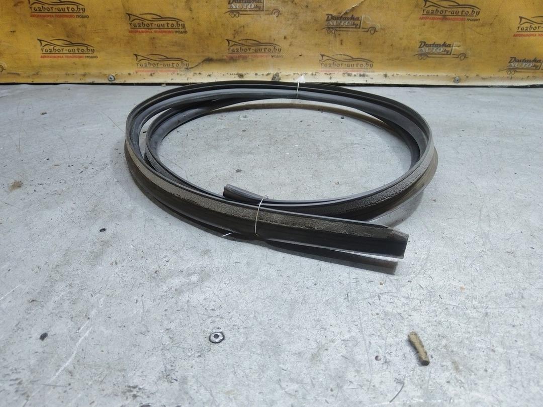 Уплотнитель PPRS00 Citroen C3 купить