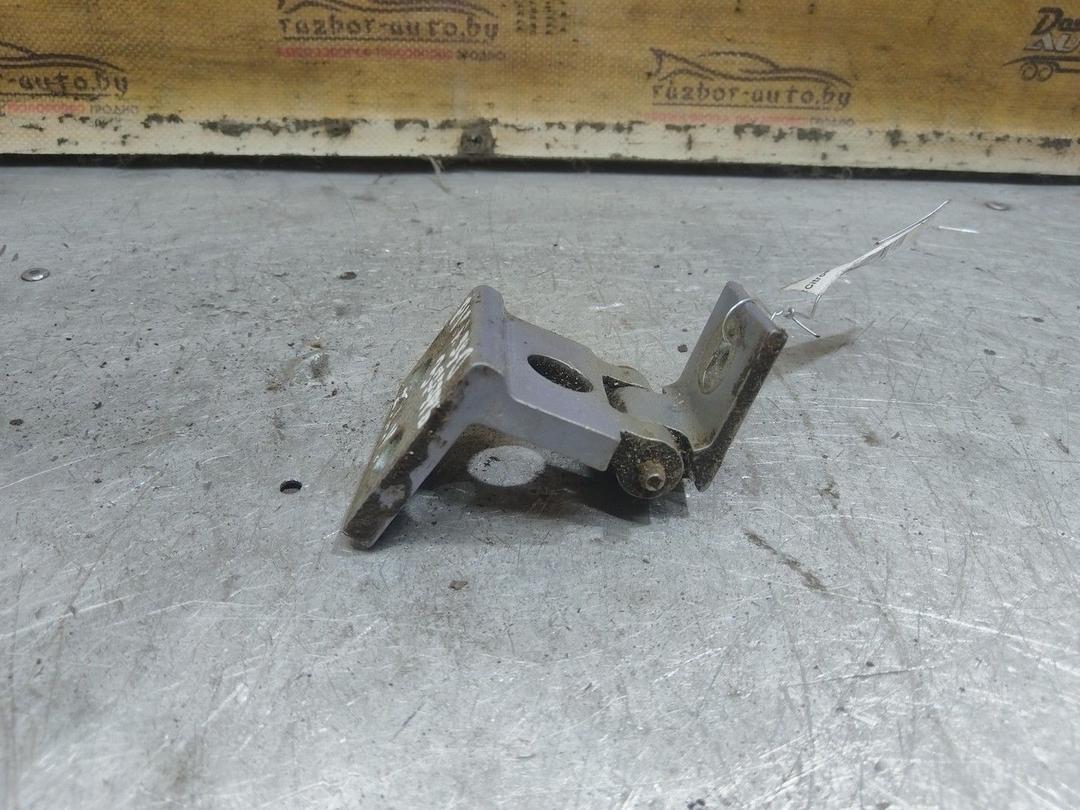 Петля двери задней левой ZNKQ0P Citroen Xsara Picasso - Фото 1