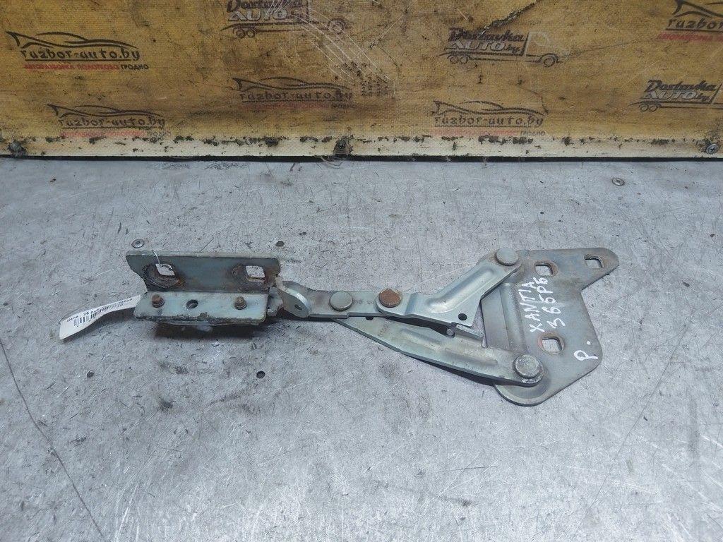 Петля капота правая 80J51S Citroen Xantia - Фото 3