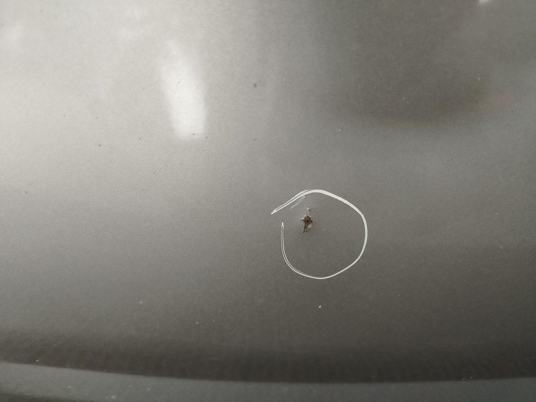 Капот KMI438 Fiat Marea - Фото 6