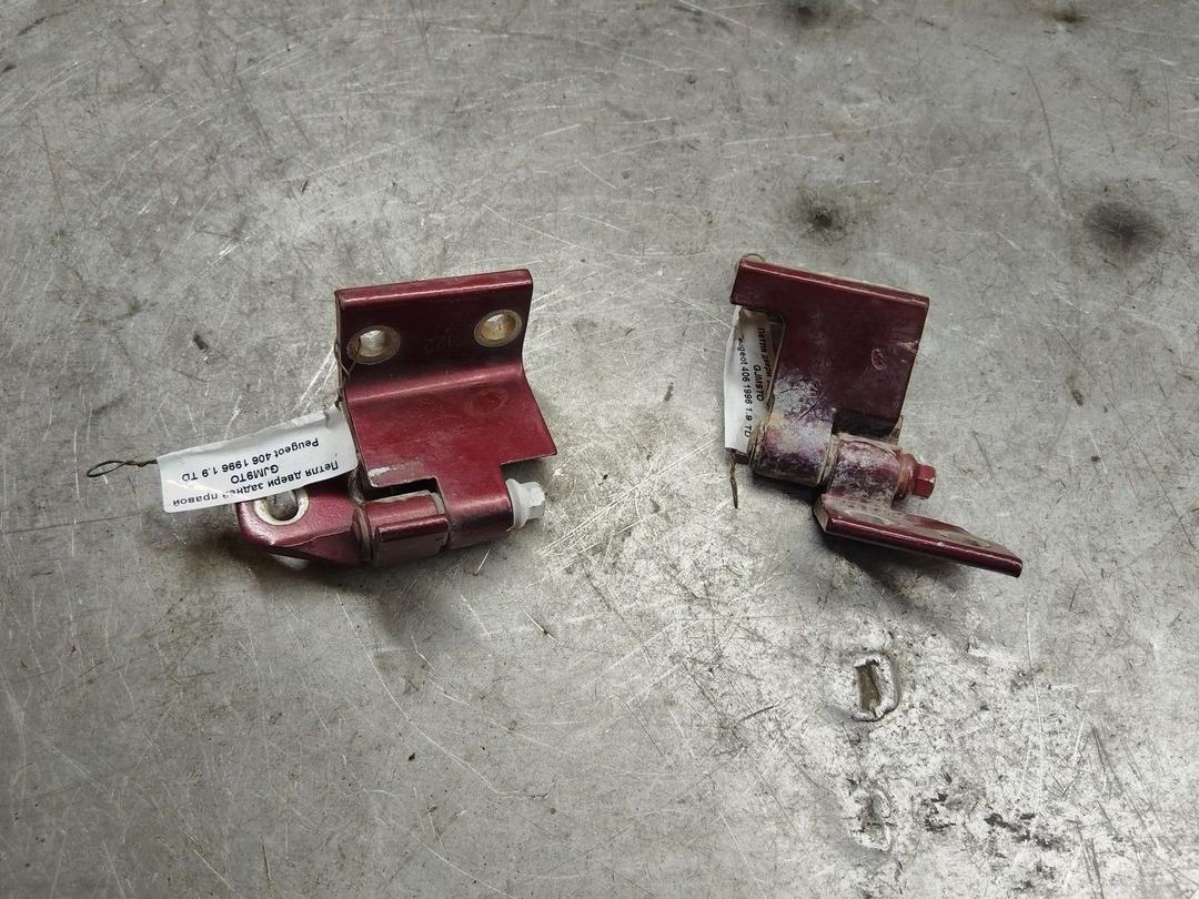 Петля двери задней правой GJM9TO Peugeot 406 купить