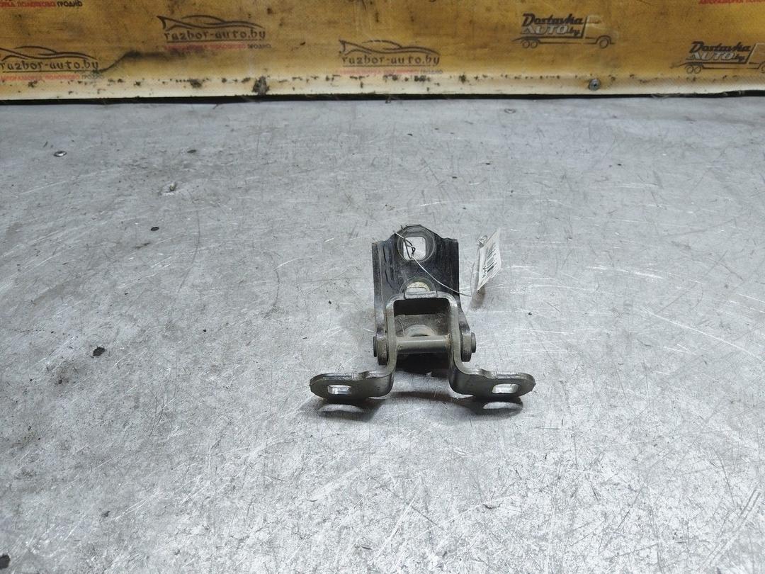 Петля двери задней левой TIZKHF Renault Scenic купить с доставкой