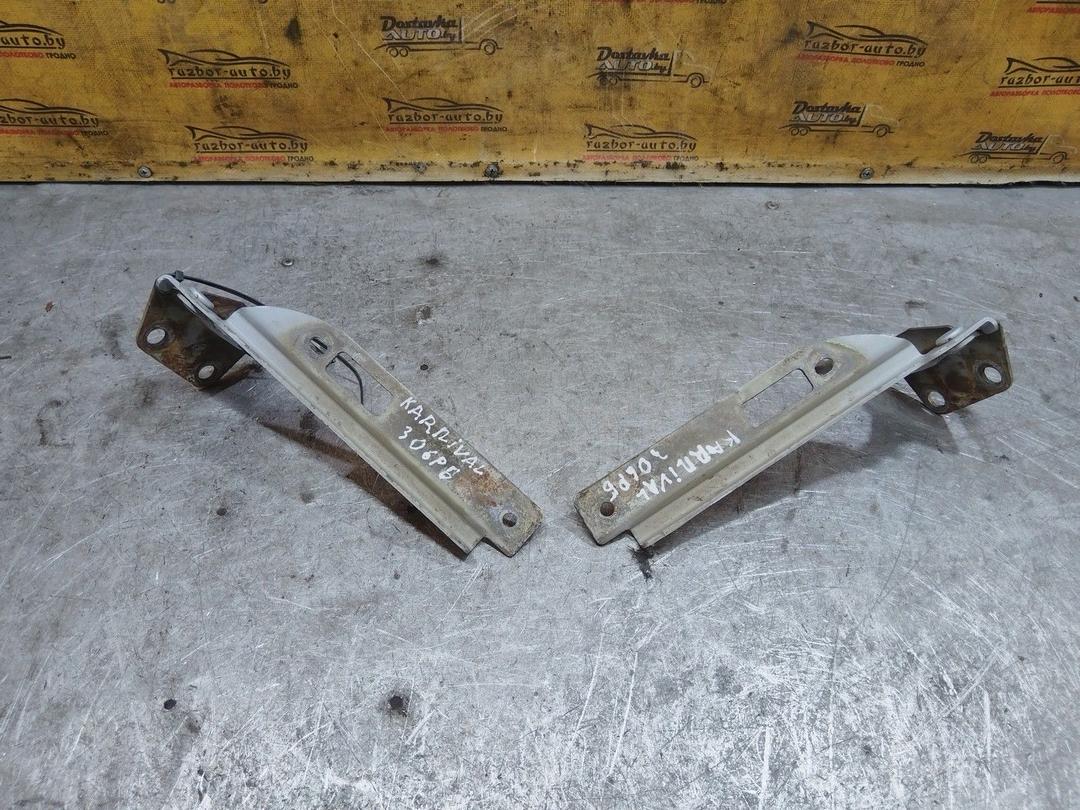 Петля капота TAB6ZS Kia Carnival - Фото 3