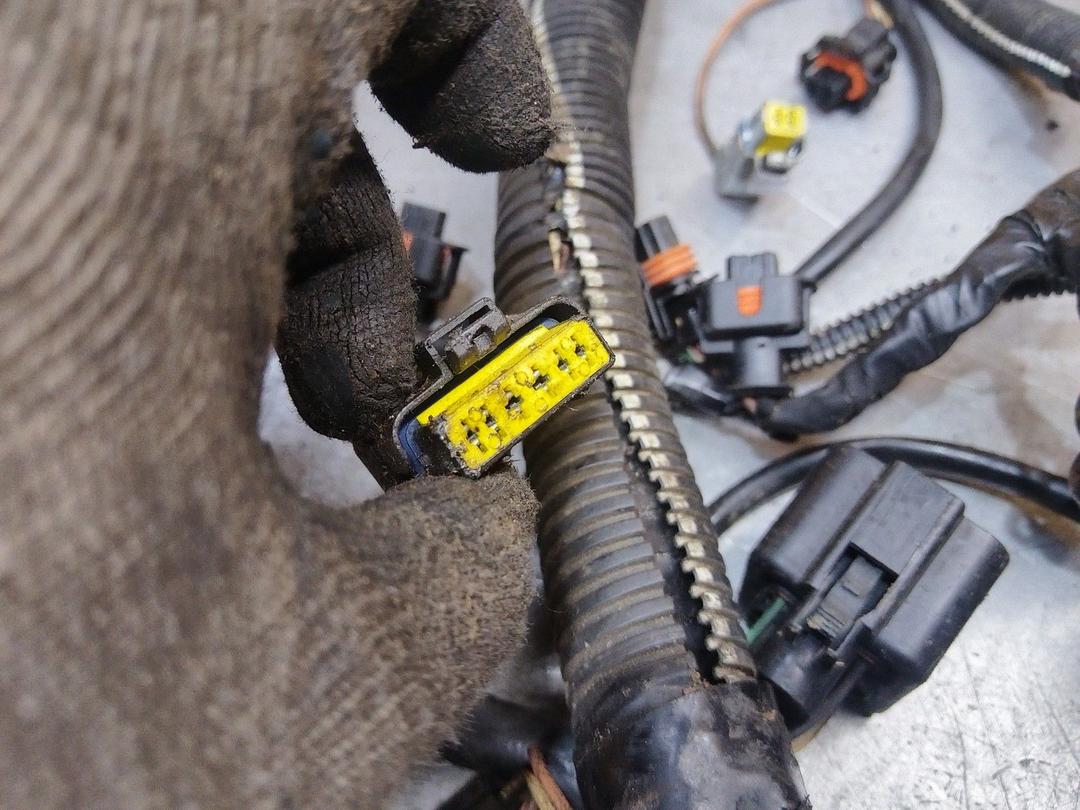 Проводка двигателя BGO85X Renault Scenic RX4 undefined