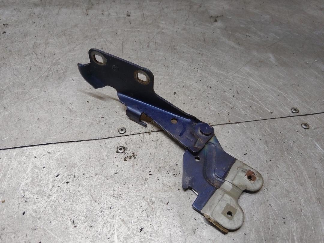 Петля капота правая FI1MZQ Renault Laguna купить