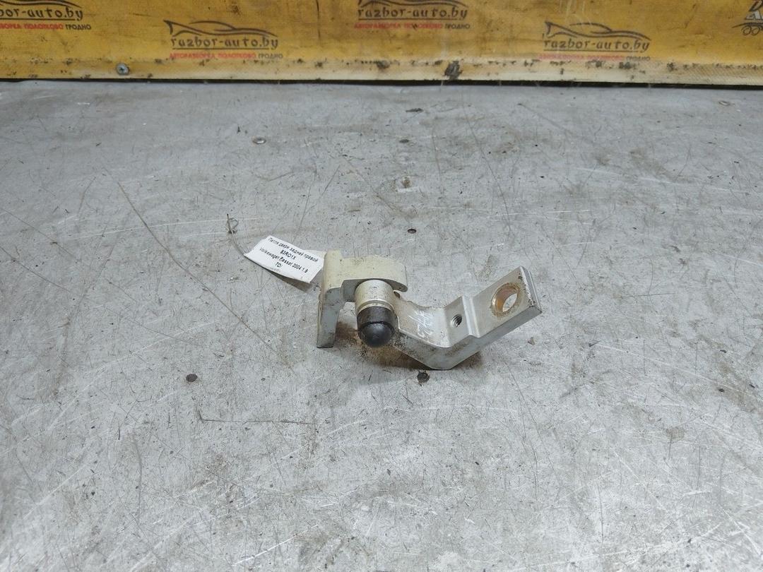Петля двери задней правой B3RO1X Volkswagen Passat