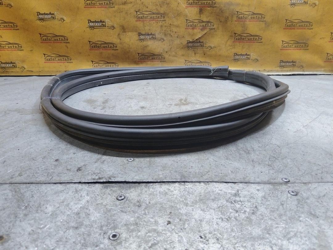 Уплотнитель двери задней левой O99Y3E Citroen Xsara Picasso купить