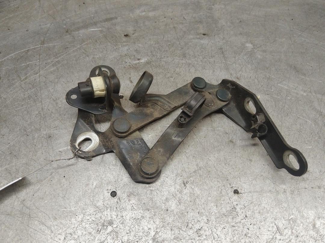 Петля капота левая TWZUUN Volkswagen Sharan - Фото 1