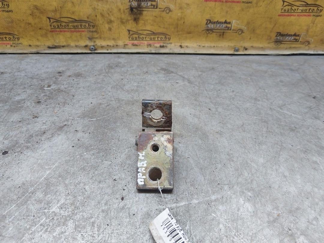 Петля двери задней правой HM4G97 Skoda Fabia купить с доставкой