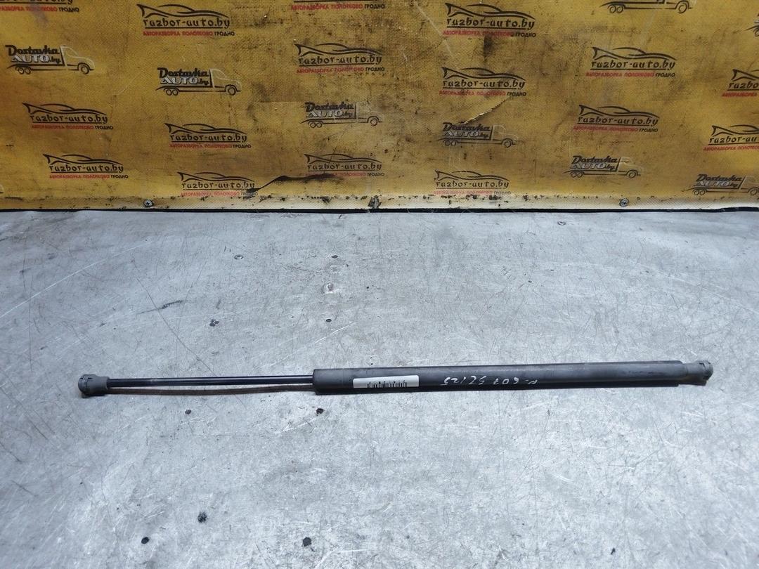 Амортизатор капота WJ595A Peugeot 607 купить в магазине запчастей бу