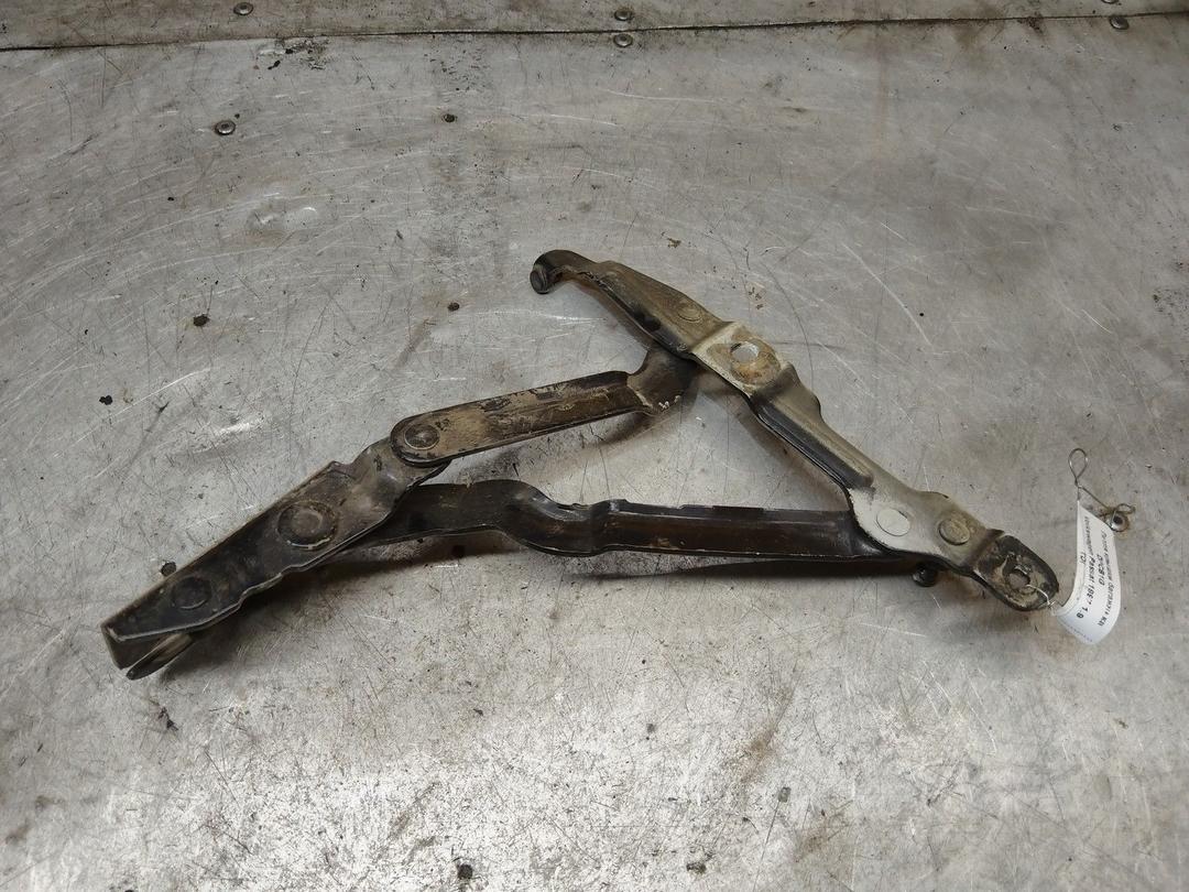 Петля крышки багажника DPCB1G Volkswagen Passat купить с доставкой