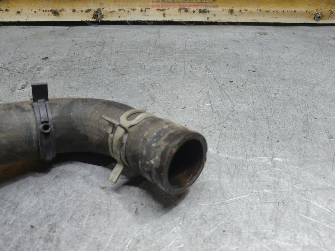 Патрубок радиатора KMF9D3 Peugeot 406 купить в магазине запчастей бу