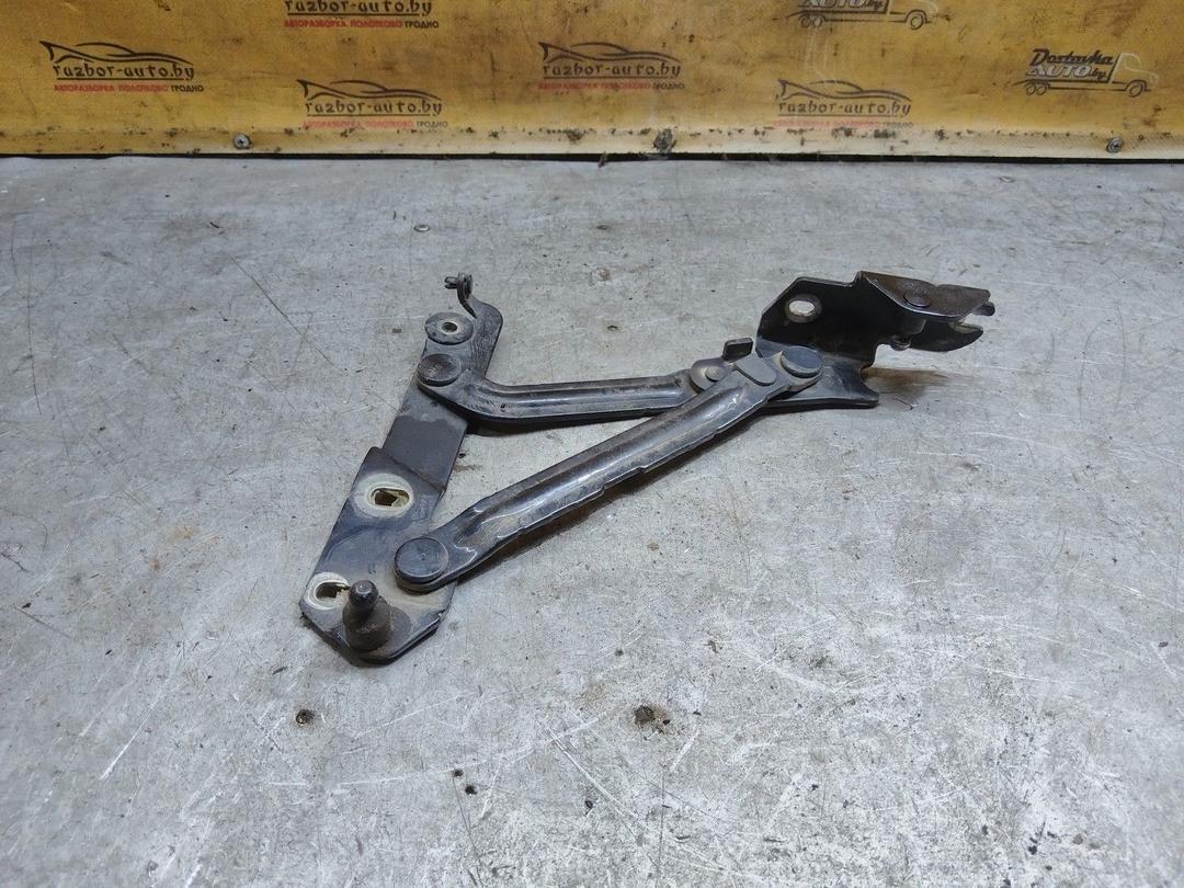 Петля крышки багажника C8JEFI Seat Toledo купить с доставкой