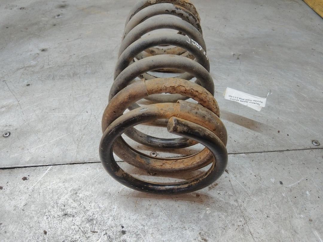 Пружина задняя 4ZVO8D Hyundai Trajet купить с доставкой