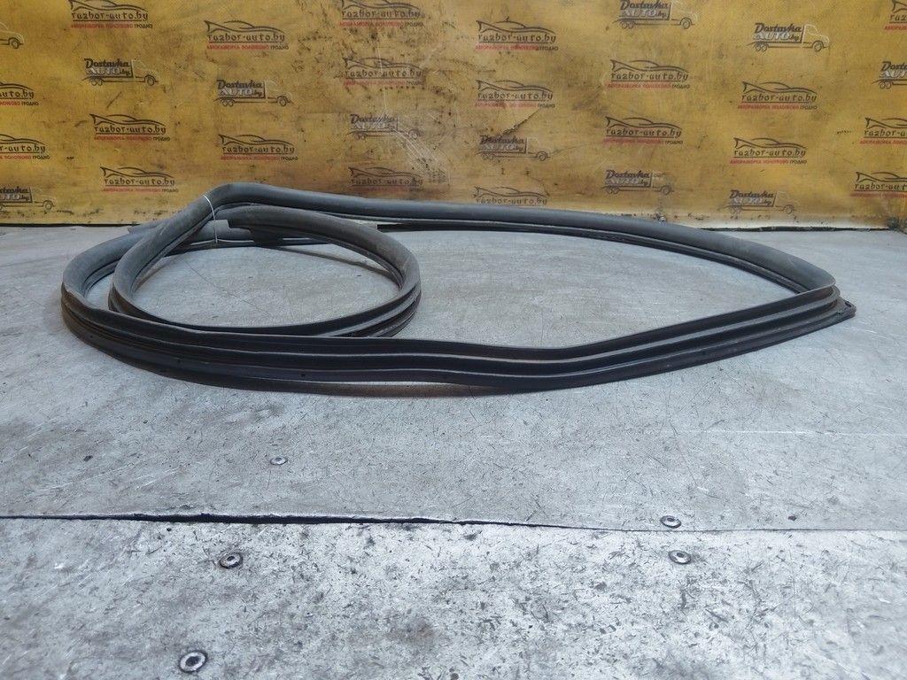 Уплотнитель двери задней правой IBAVAH Toyota Corolla Verso - Фото 6