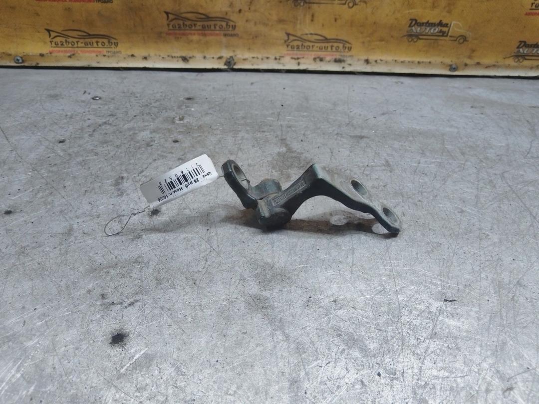 Петля двери задней левой 1APYNR Ford C-Max купить с доставкой