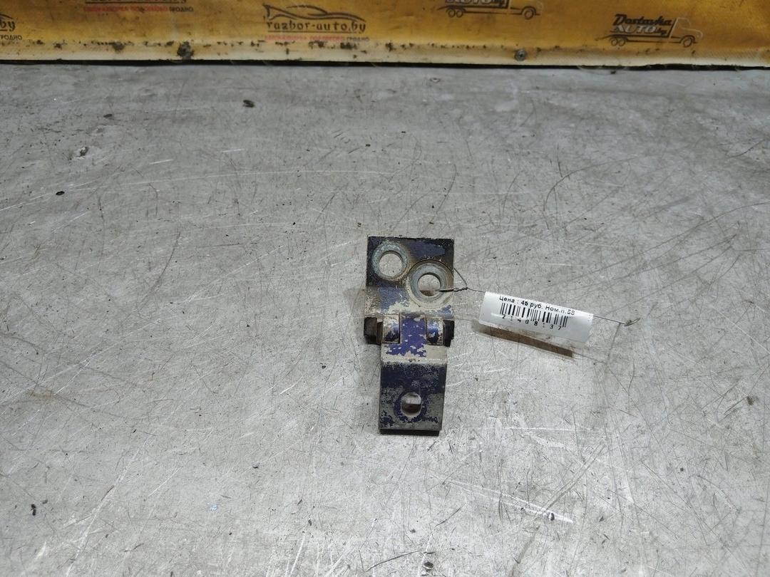 Петля двери передней левой 7LW97Z Volkswagen Golf купить