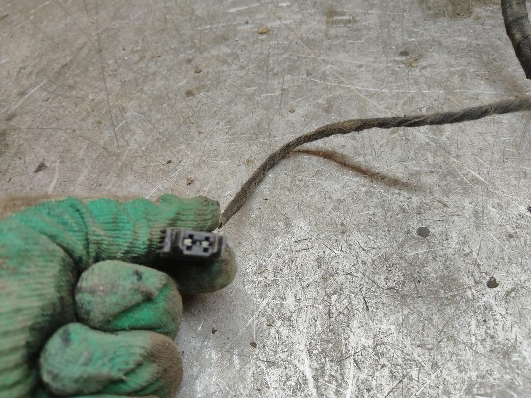 Проводка двери задней левой 8LRVF4 Volkswagen Passat купить с доставкой