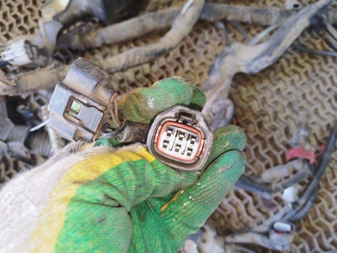 Проводка двигателя 2YM35C Toyota Avensis undefined