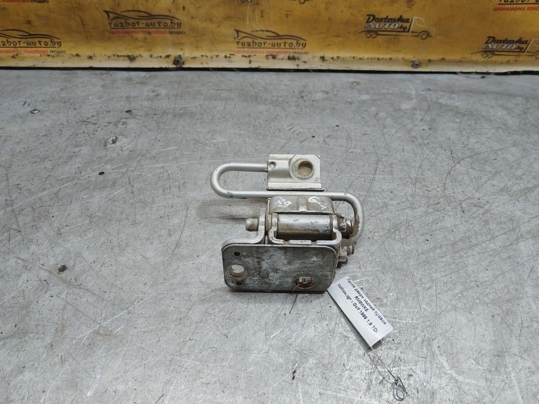 Петля двери задней правой RM8WK5 Volkswagen Golf купить с доставкой