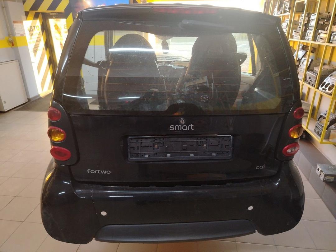 Амортизатор крышки багажника (3-5 двери) DL6SQP Smart Fortwo - Фото 1