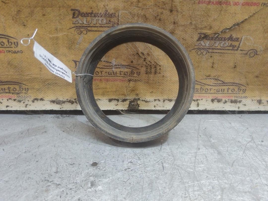 Кольцо зажимное топливозаборника SQAPDS Peugeot 406 - Фото 3