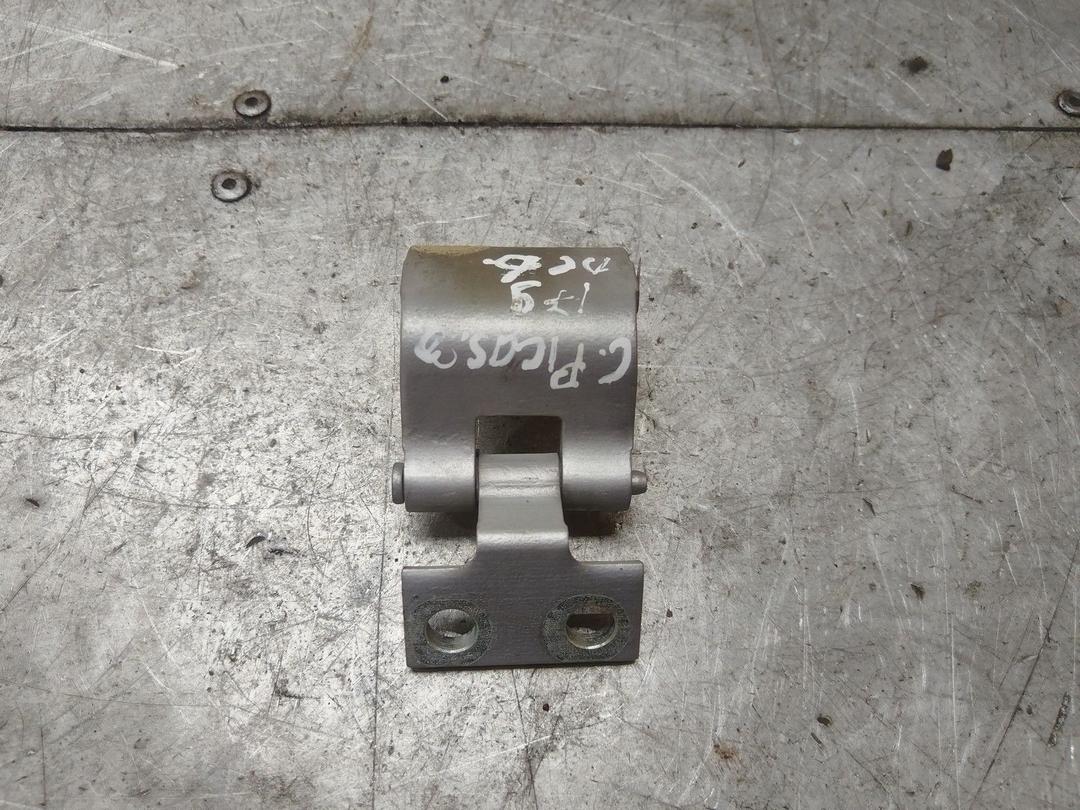 Петля крышки багажника 5PARY0 Citroen Xsara Picasso