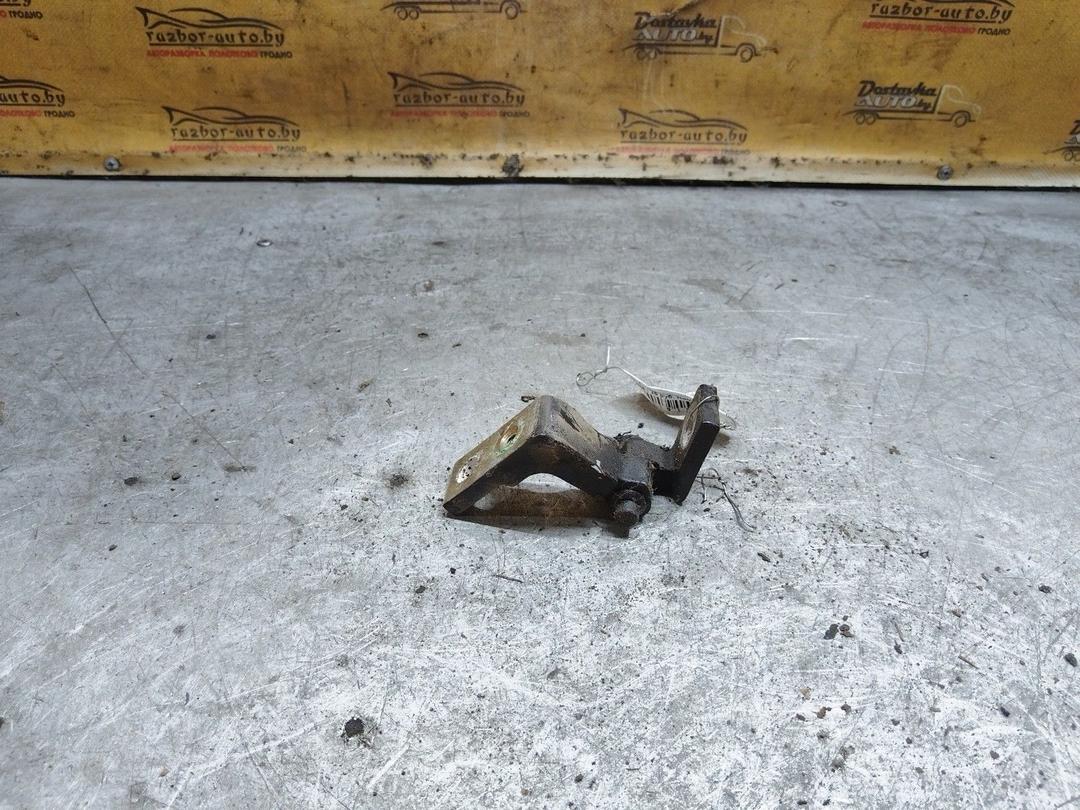 Петля двери передней правой 5OPL97 Seat Toledo купить с доставкой