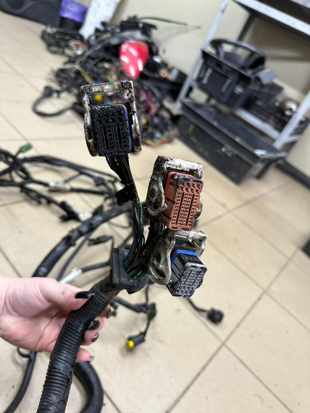 Проводка двигателя NVS8JU Ford Focus - Фото 7