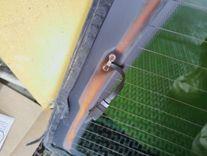 Комплект задних стекол QL5F8A Ford Galaxy - Фото 13