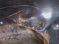 Крыло заднее правое XMBI65 Peugeot 307 купить с доставкой