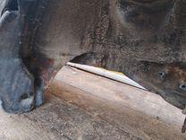 Крыло заднее правое YKGF5X Mitsubishi Carisma - Фото 8