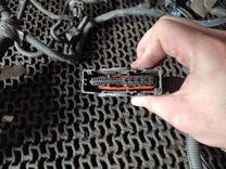 Проводка BC55WD Nissan Primera купить на авторазборке