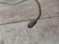 Трубка сцепления EO2USX Kia Carnival - Фото 3