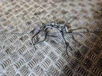 Трубка топливная F88NPC Peugeot 607