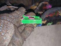 Проводка 9V1QA0 Volkswagen Passat - Фото 31