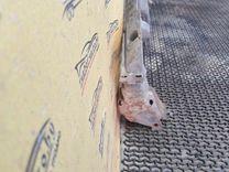 Усилитель бампера переднего MTB2DL Citroen C8 - Фото 3